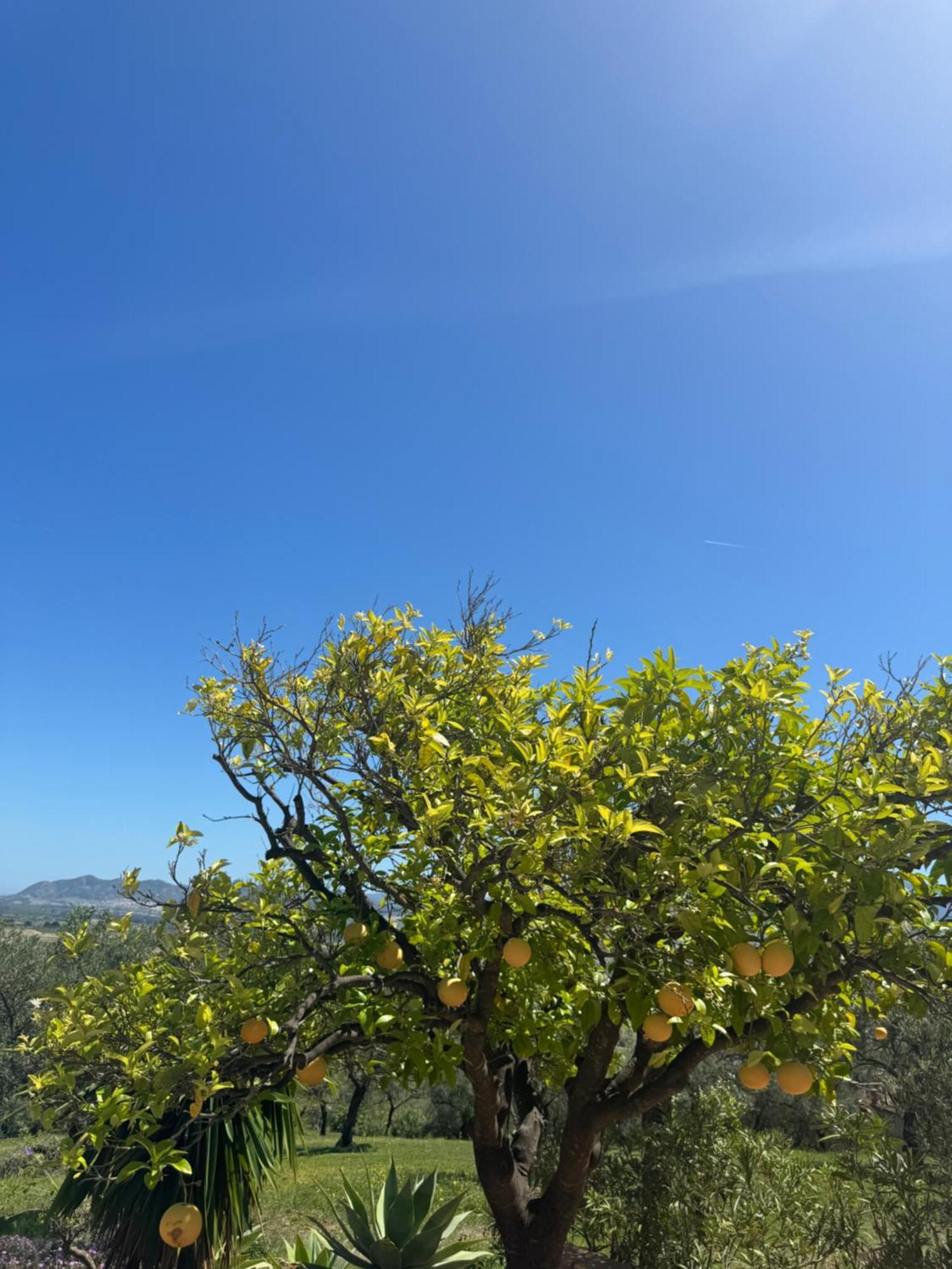 Santa Teresa Bed & Breakfast Andalusien Pizarra Exterior photo